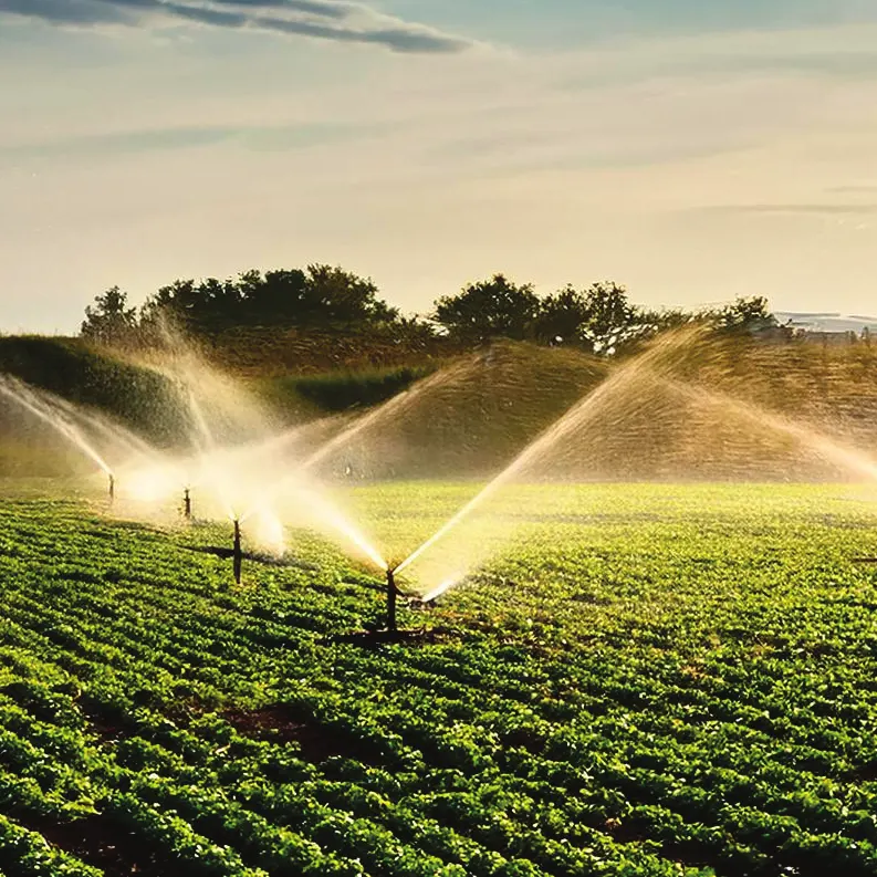 Aplicações IRRISAN em sistemas de irrigação Aspersores irrigando lavoura ao amanhecer